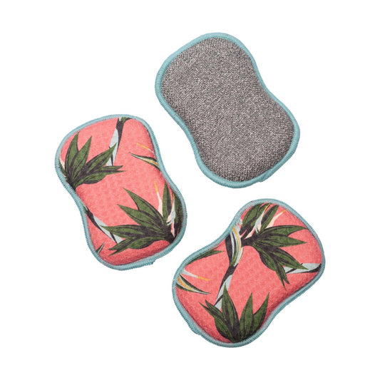 Reusable Sponges (Set of 3) - Bird of Paradise: Rose