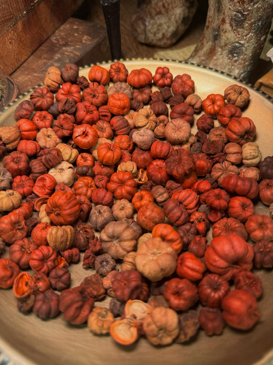 Dried Natural Pumpkin Pods in Bag