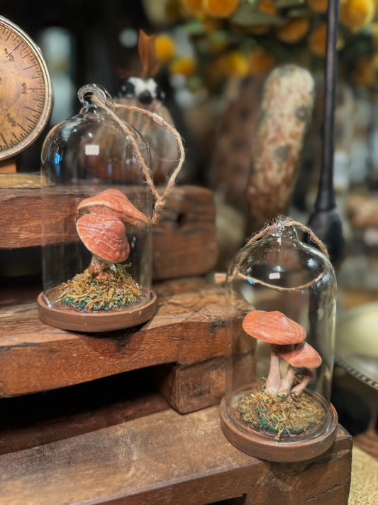 Glass Cloche Ornament w/ Resin Mushrooms