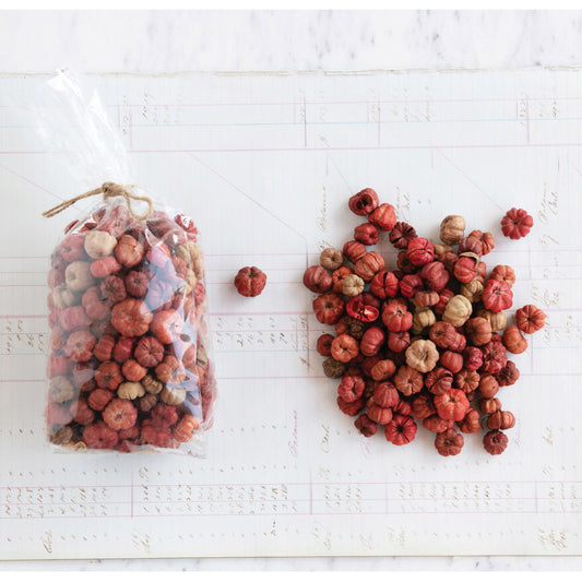 Dried Natural Pumpkin Pods in Bag