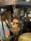 Glass Cloche Ornament w/ Resin Mushrooms