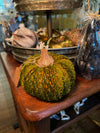 Bouclé/Velvet Pumpkin w/ Wood Stem (Large)