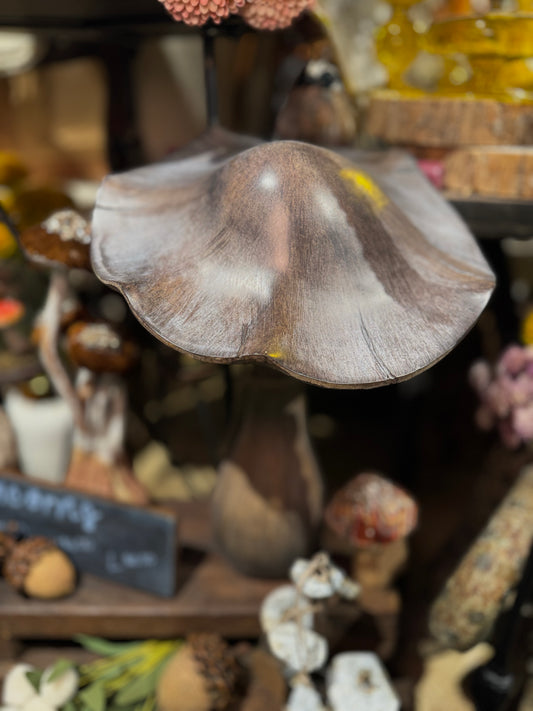 Resin Grey Washed Mushroom