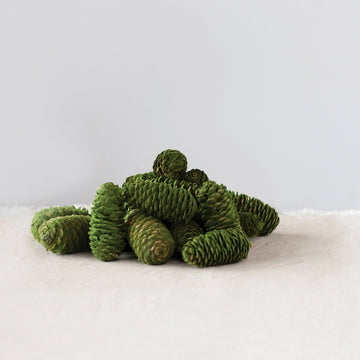 Flocked Dried Natural Pinecones