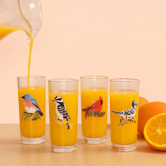 Birds Juice Glass