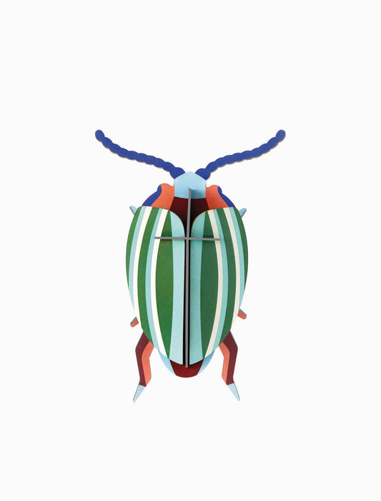 Rainbow Leaf Beetle