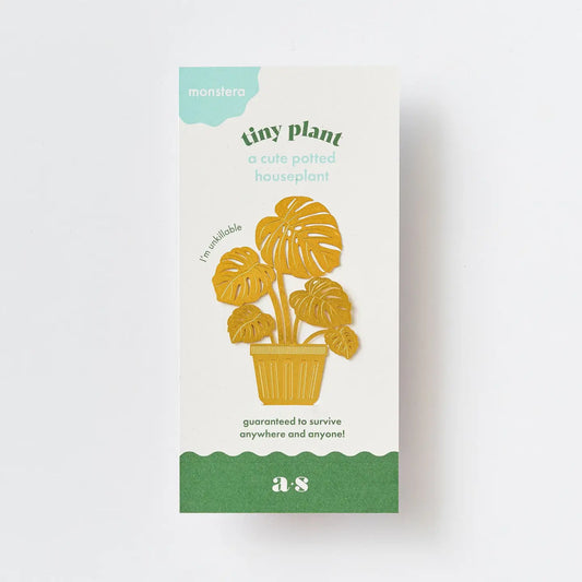 Tiny Plant: Monstera