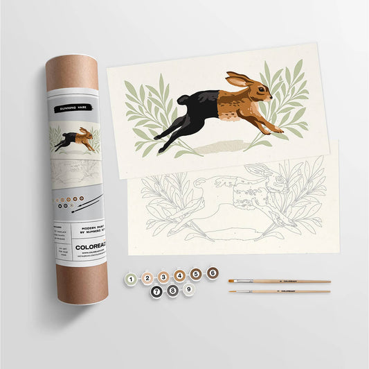 Running Hare | Modern Paint By Numbers Kit