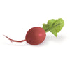 Red Radishes (Bundle of 3)