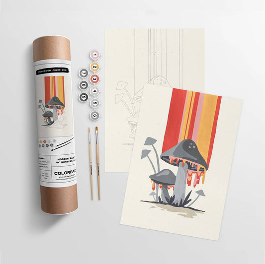 Mushroom Color Drip | Modern Paint By Numbers Kit